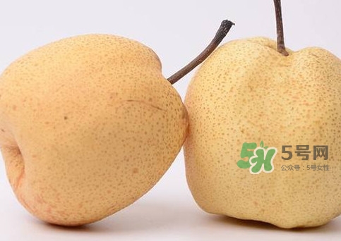 碭山梨什么時候成熟？碭山梨幾月份成熟