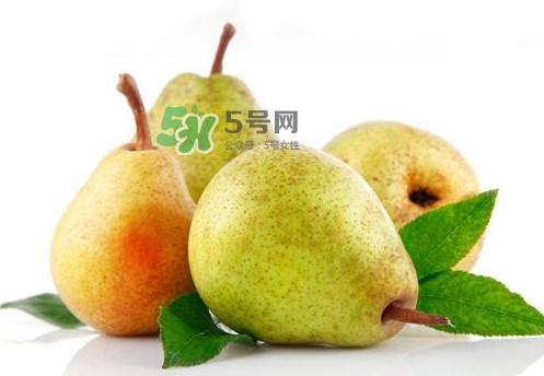 梨子是什么季節(jié)的水果？梨子什么季節(jié)吃最好