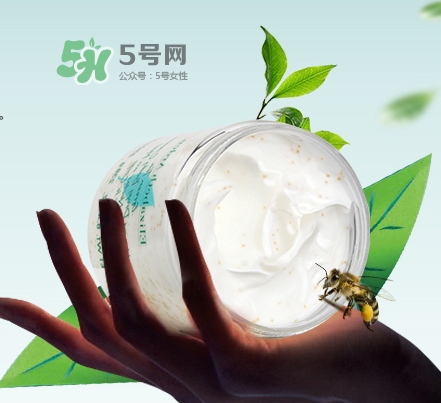 雅頓綠茶身體乳真假 雅頓綠茶身體乳真假辨別 雅頓綠茶身體乳真假 雅頓綠茶身體乳真假辨別