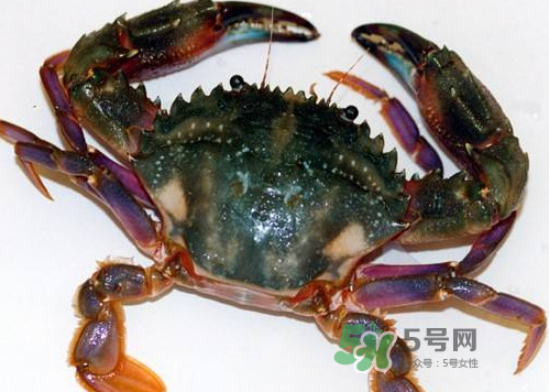 螃蟹腿藍(lán)色的是什么？螃蟹腿為什么是藍(lán)色？