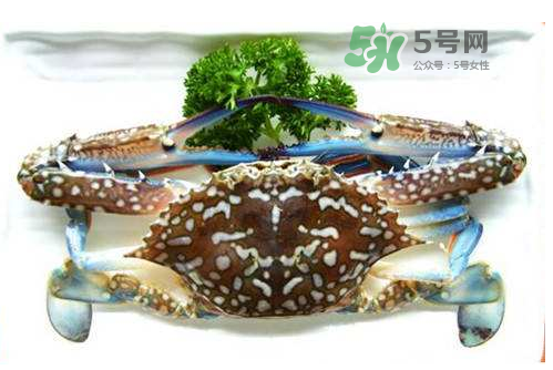 螃蟹腿藍(lán)色的是什么？螃蟹腿為什么是藍(lán)色？