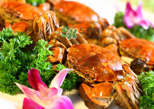 螃蟹的腿掉了還會長嗎？ 螃蟹腿掉了還能再長出來嗎？