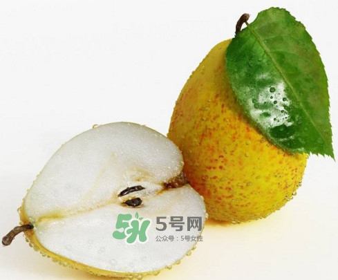 梨子核可以種盆栽嗎？梨子籽怎么種小盆栽