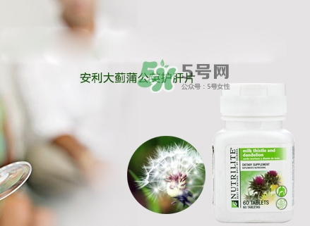 2017護(hù)肝片排行榜_護(hù)肝片哪個(gè)牌子好 2017護(hù)肝片排行榜_護(hù)肝片哪個(gè)牌子好