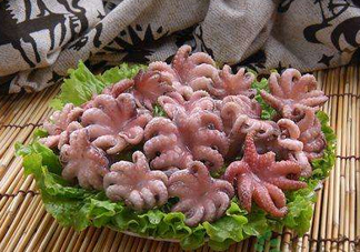 八爪魚(yú)煮多久才好？八爪魚(yú)需要煮多久？