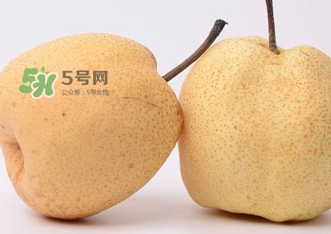 碭山梨好還是皇冠梨好？碭山梨和皇冠梨的區(qū)別