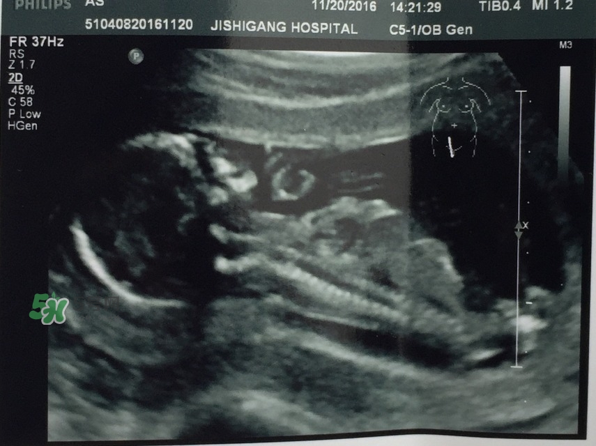 懷孕40周檢查項目 超級詳細孕期檢查攻略 懷孕40周檢查項目 超級詳細孕期檢查攻略