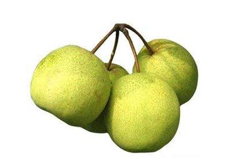 碭山梨好還是皇冠梨好？碭山梨和皇冠梨的區(qū)別