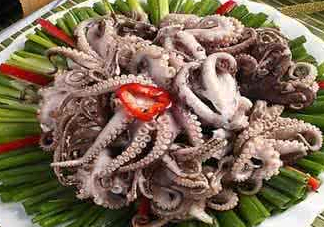 八爪魚可以冷凍嗎？八爪魚可以放冰箱嗎？