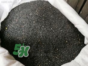 怎么看男人腎好不好？男人腎虛吃什么調(diào)理？