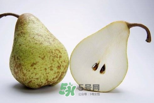 梨子核可以種盆栽嗎？梨子籽怎么種小盆栽