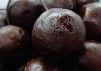 孕婦能吃凍梨嗎？懷孕了可以吃凍梨嗎