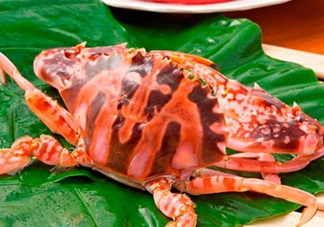 花蟹不能和什么一起吃？花蟹和什么不能一起吃？