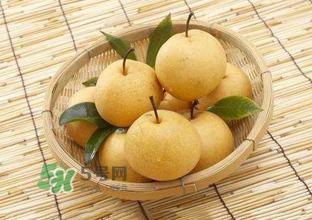 買梨子怎么挑選？梨子外面為什么要包張紙