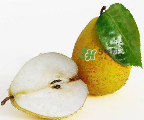 梨子什么時(shí)候吃最好？梨子什么時(shí)候成熟