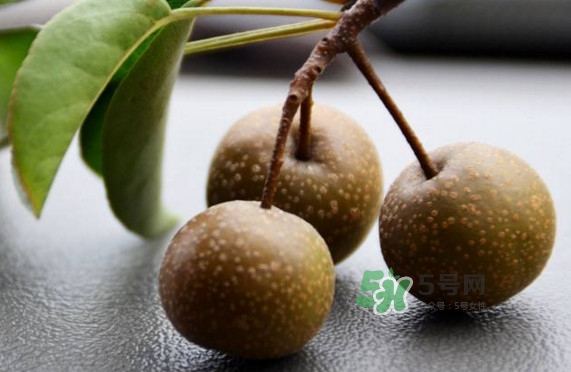 棠梨子怎么吃？棠梨子孕婦可以吃嗎