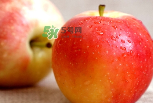 嘎啦蘋果多少錢？嘎啦果多少錢一斤