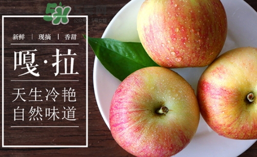 嘎啦蘋果多少錢？嘎啦果多少錢一斤