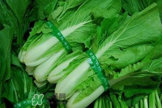 水白菜可以吃嗎？水白菜能吃嗎