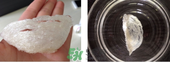 燕窩用什么鍋燉最好吃？燕窩用什么器具燉最好？