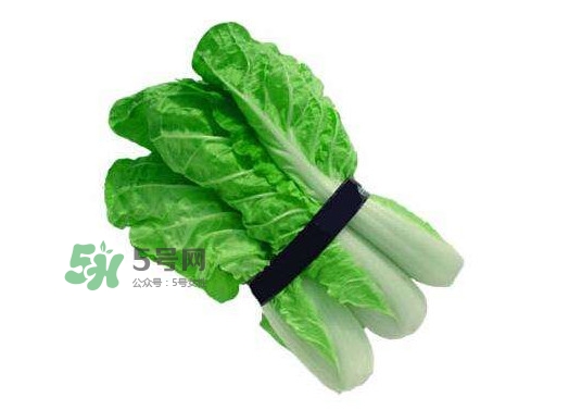 水白菜可以吃嗎？水白菜能吃嗎