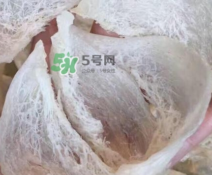 燕窩里面含有激素嗎？燕窩兒童吃了會(huì)不會(huì)性早熟？