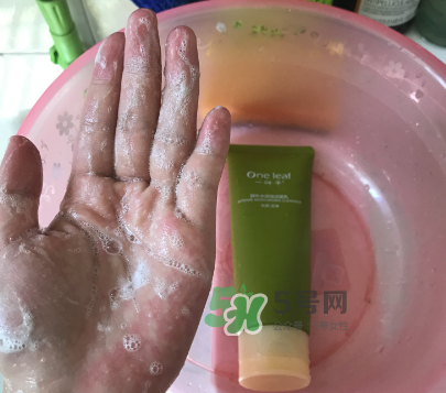 一葉子補(bǔ)水潔面乳怎么樣？一葉子補(bǔ)水洗面奶好用嗎？