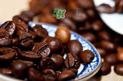 貓屎咖啡是貓屎做的嗎？貓屎咖啡是什么貓的屎