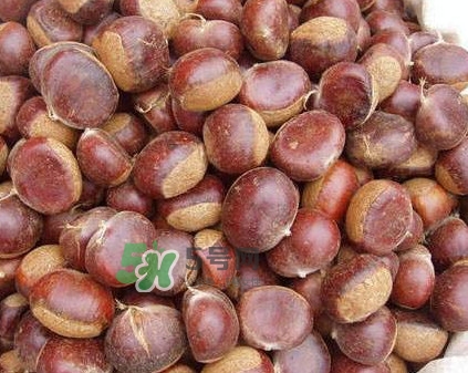 空腹能吃板栗嗎？空腹吃生板栗還是熟板栗好