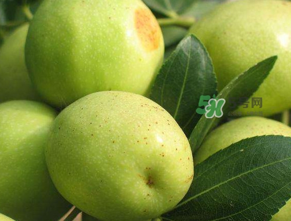 梨棗和冬棗哪個(gè)大？梨棗和冬棗的區(qū)別