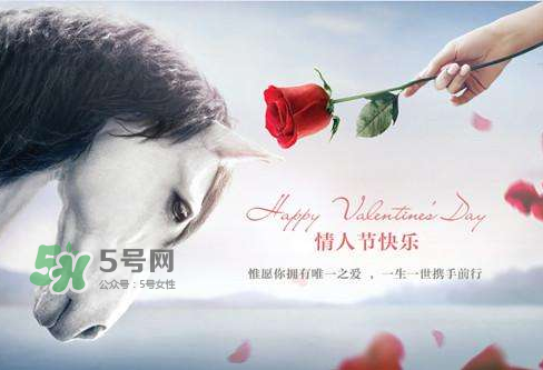 roseonly怎么樣？roseonly好看嗎？