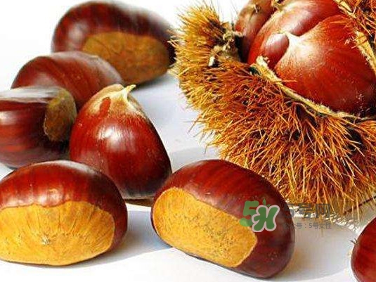 板栗什么時(shí)候上市？板栗什么人不能吃