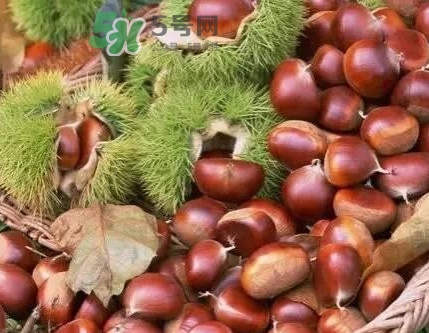 羅田是中國(guó)板栗之都嗎？羅田板栗什么時(shí)候成熟