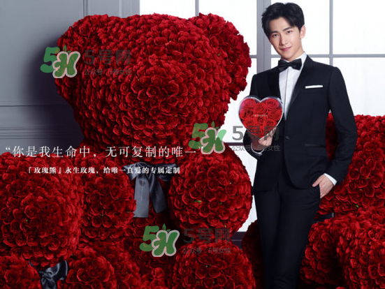 roseonly熊什么材質(zhì)？roseonly玫瑰熊是真花嗎？