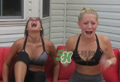 卡羅萊納死神辣椒中國有嗎？死神辣椒哪里有賣