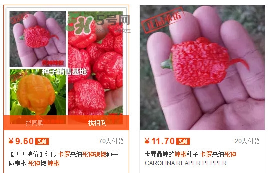 卡羅萊納死神辣椒中國有嗎？死神辣椒哪里有賣