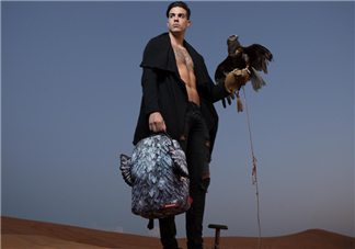 sprayground翅膀書包多少錢？sprayground雙肩包什么價位？