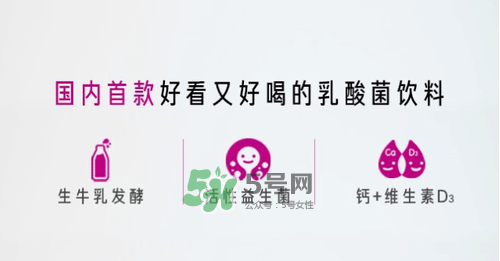 每日活菌乳酸菌多少錢一瓶？每日活菌乳酸菌好喝嗎？