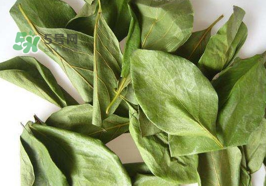 怎樣制作柿子葉茶？柿子葉茶的做法