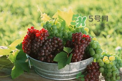 秋天成熟的水果有哪些？秋天吃水果有哪些禁忌