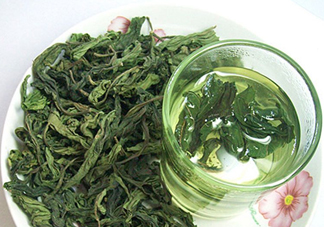 柿子葉能治胃病嗎？柿子葉什么時候采最好