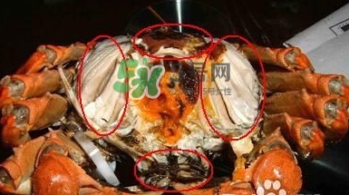 螃蟹怎么吃好吃？螃蟹和什么一起吃最好？