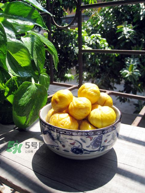 板栗吃多了會放屁嗎？板栗吃多了胃脹怎么辦？