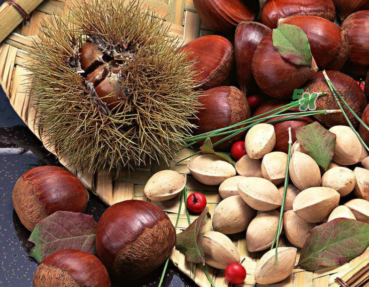 板栗能生吃嗎？板栗生吃好還是熟吃好？