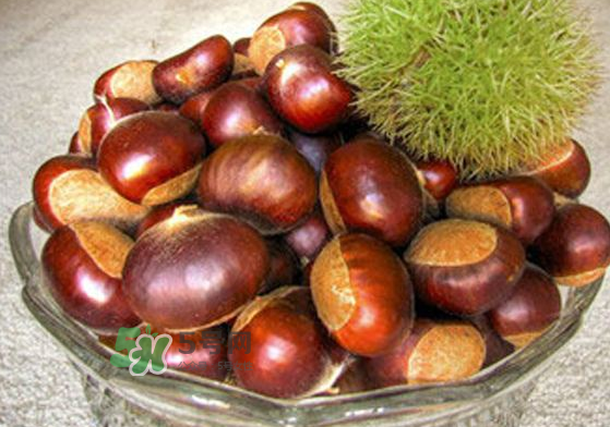 板栗能補腎嗎？板栗補腎陰還是腎陽？