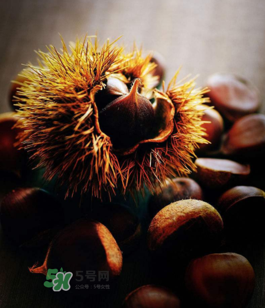 板栗能補腎嗎？板栗補腎陰還是腎陽？