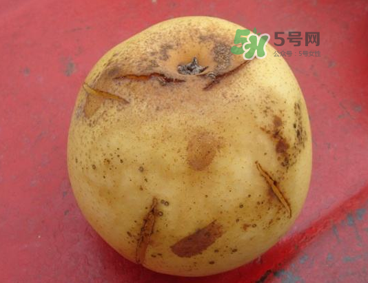 皇冠梨雞爪病能吃嗎？皇冠梨雞爪病怎么辦？