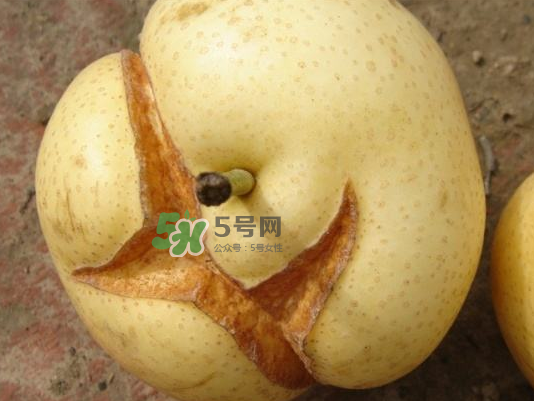 皇冠梨雞爪病能吃嗎？皇冠梨雞爪病怎么辦？