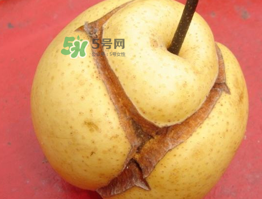 皇冠梨雞爪病能吃嗎？皇冠梨雞爪病怎么辦？