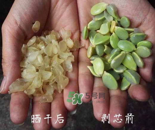 皂角米是什么味道？皂角米是什么顏色